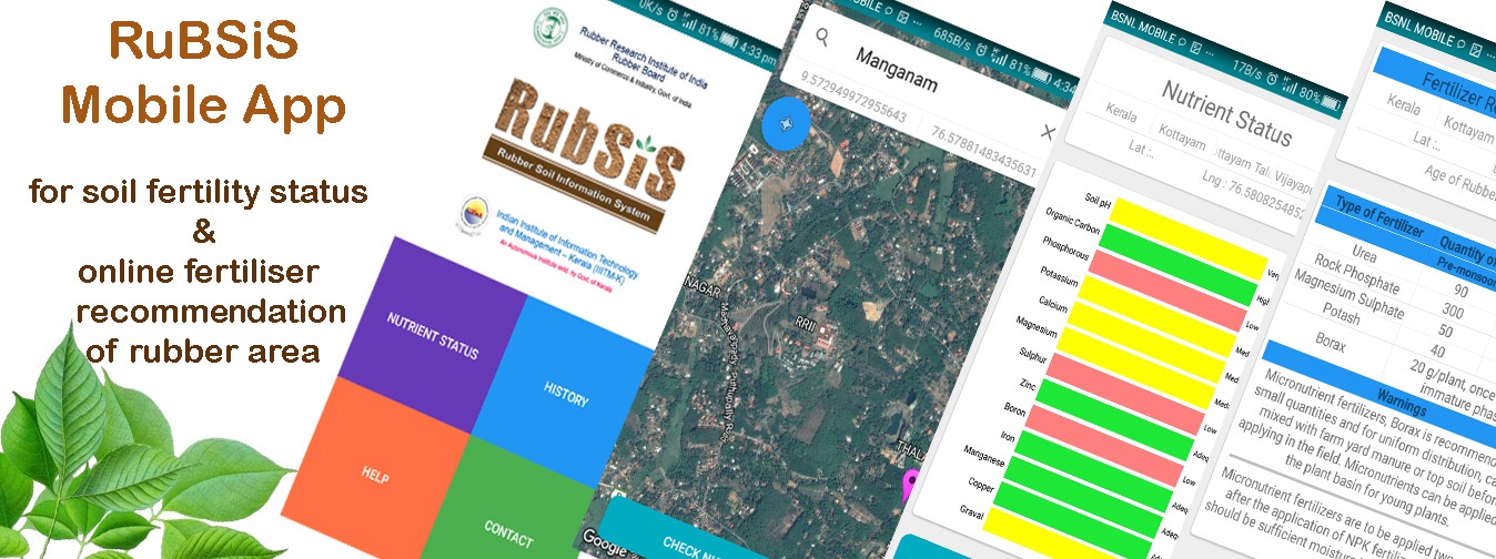 RUBSIS
